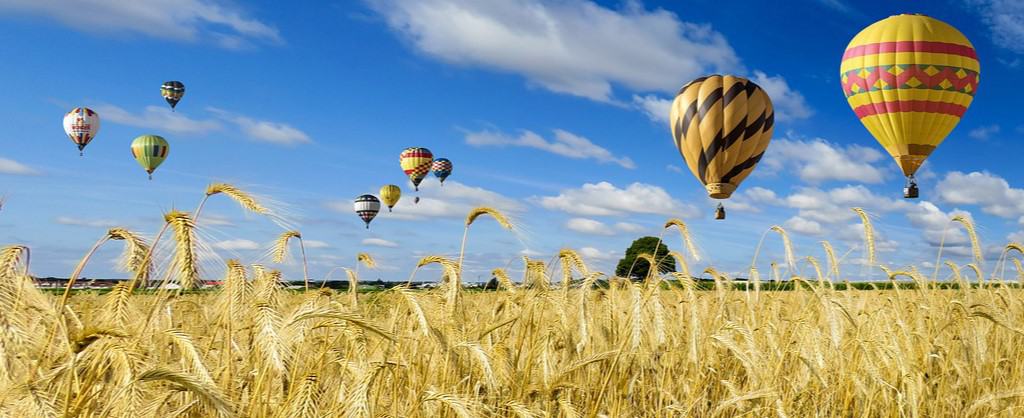 Bunte Heißluftballone schweben an einem blau-weißen Himmel über einem gelben Getreidefeld