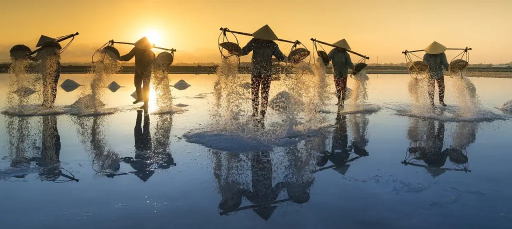 Menschen ernten Salz in Vietnam.