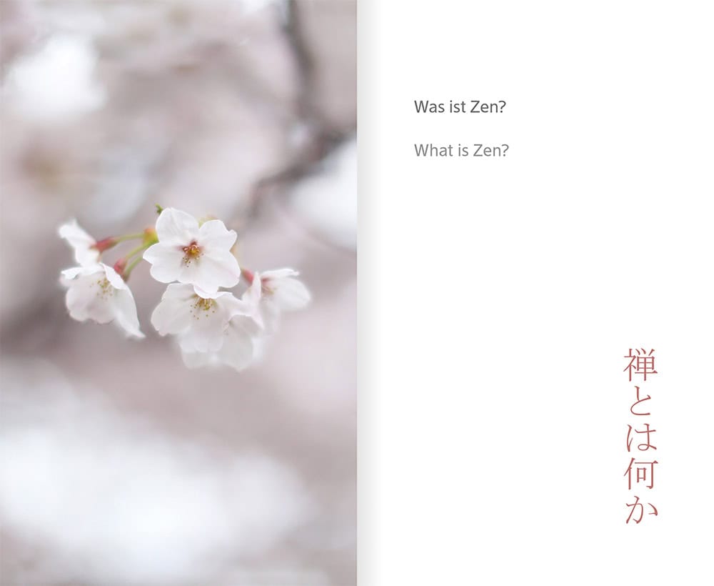 Buch: Migaku Sato, Zazen, Innenseite