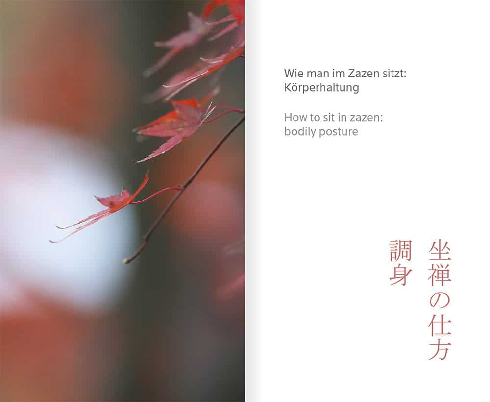 Buch: Migaku Sato, Zazen, Innenseite